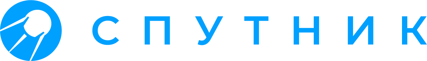 Спутник